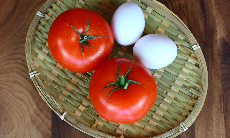 tomato egg